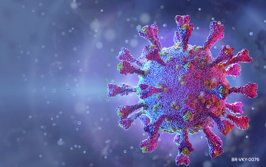 Video_preview_01-new